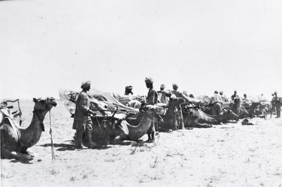 Soldaten met kamelen in Mesopotamië tijdens de Eerste Wereldoorlog, uit een album samengesteld door Lt. Kindom door English Photographer